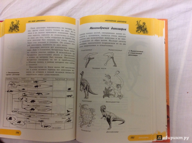 Иллюстрация 16 из 22 для Жизнь замечательных динозавров - Пахневич, Чегодаев | Лабиринт - книги. Источник: Alitalia