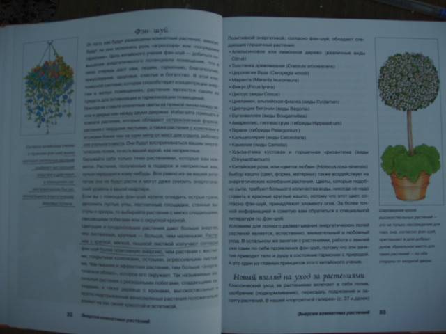 Иллюстрация 10 из 10 для Энергия комнатных растений - Ева-Катарина Хоффманн | Лабиринт - книги. Источник: Витаминка