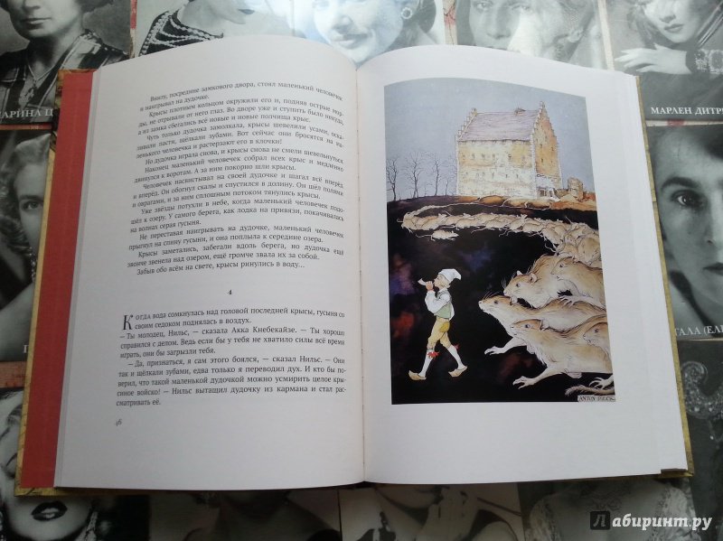 Иллюстрация 29 из 35 для Чудесное путешествие Нильса с дикими гусями - Сельма Лагерлеф | Лабиринт - книги. Источник: Катовася