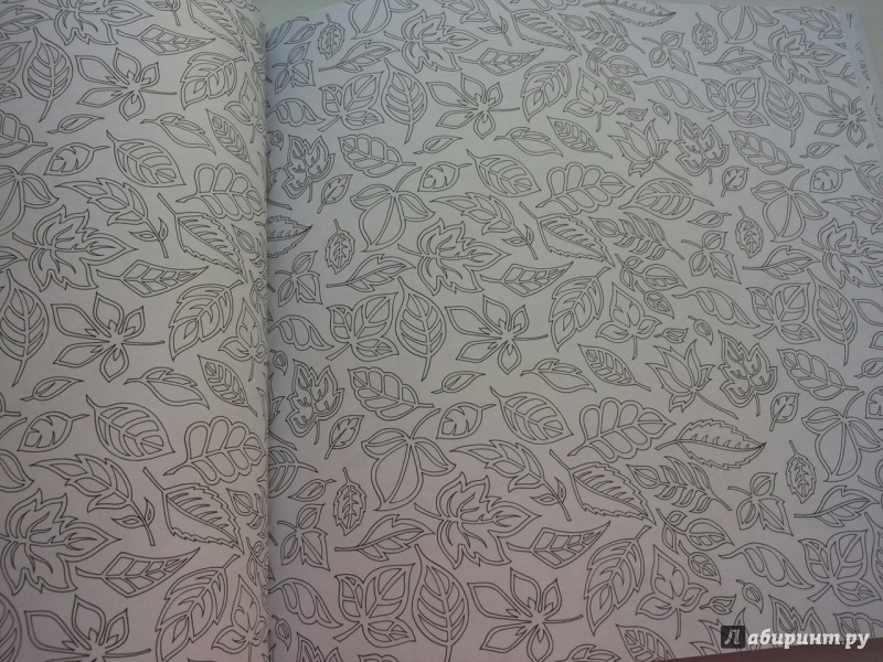 Иллюстрация 87 из 199 для Зачарованный лес. Книга для творчества и вдохновения - Джоанна Бэсфорд | Лабиринт - книги. Источник: Krokys