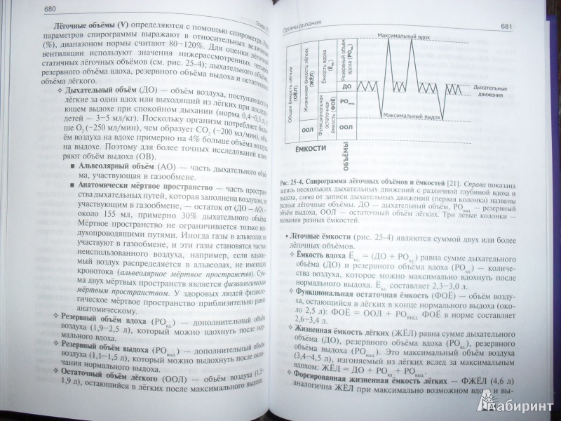 Иллюстрация 5 из 52 для Нормальная физиология. Учебник (+CD) - Ратмир Орлов | Лабиринт - книги. Источник: ВраЧиталла