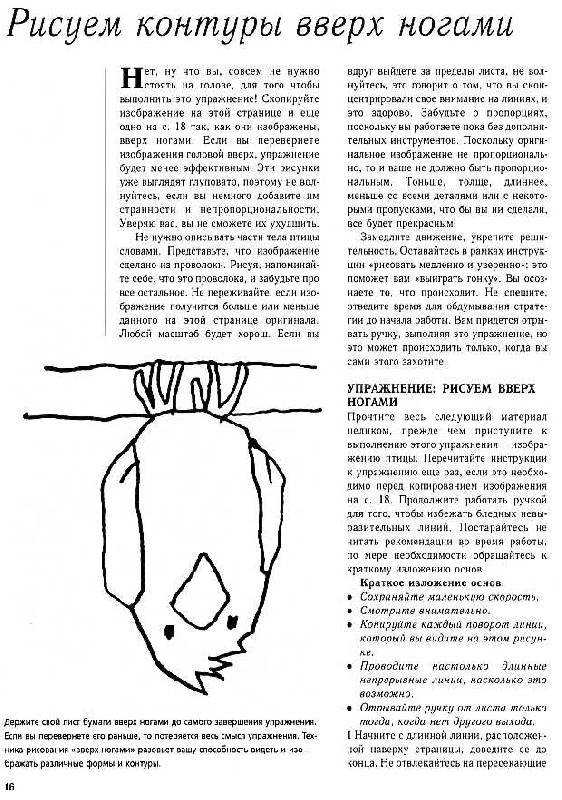Иллюстрация 5 из 13 для Уроки рисунка для начинающих - Клэр Гарсия | Лабиринт - книги. Источник: Росинка