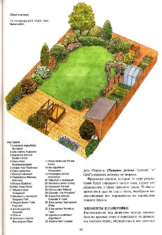 Иллюстрация 20 из 50 для Все о планировке сада - Тим Ньюбери | Лабиринт - книги. Источник: Юта