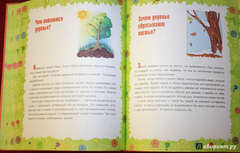 Иллюстрация 24 из 38 для Почему крапива жжется? И другие детские "почему" - Лилия Гурьянова | Лабиринт - книги. Источник: КНИЖНОЕ ДЕТСТВО