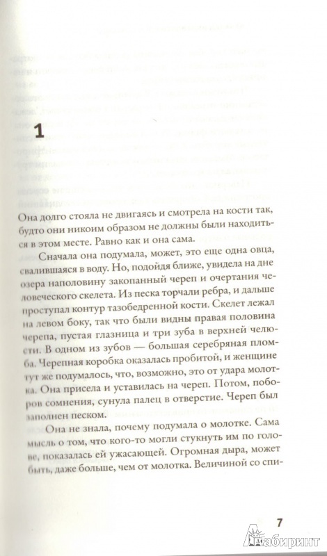 Иллюстрация 3 из 6 для Пересыхающее озеро - Арнальд Индридасон | Лабиринт - книги. Источник: Плахина  Ирина