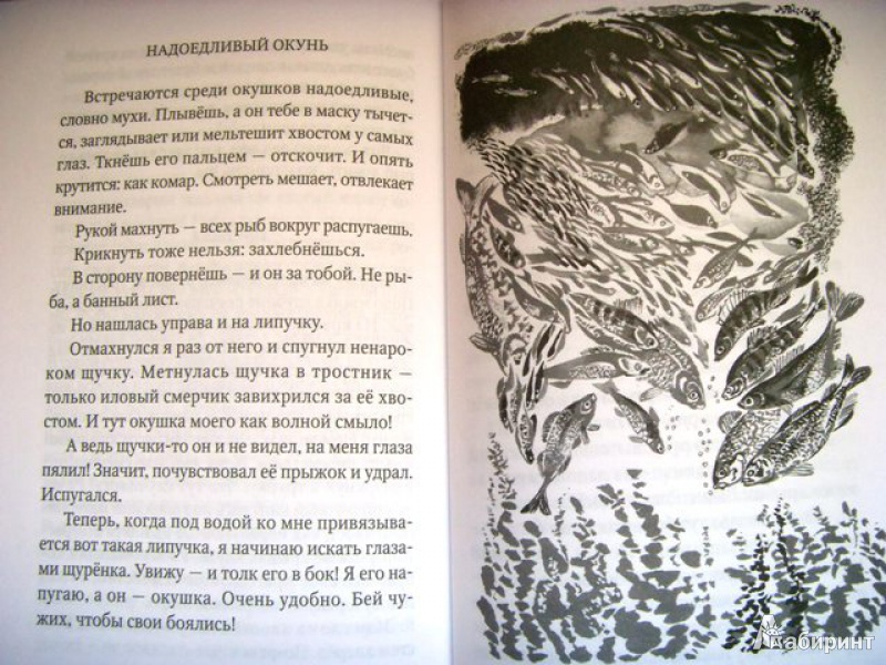 Иллюстрация 3 из 11 для В подводном лесу - Николай Сладков | Лабиринт - книги. Источник: smola