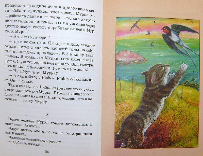Иллюстрация 29 из 29 для Беспризорная кошка - Борис Житков | Лабиринт - книги. Источник: BOOKвочка