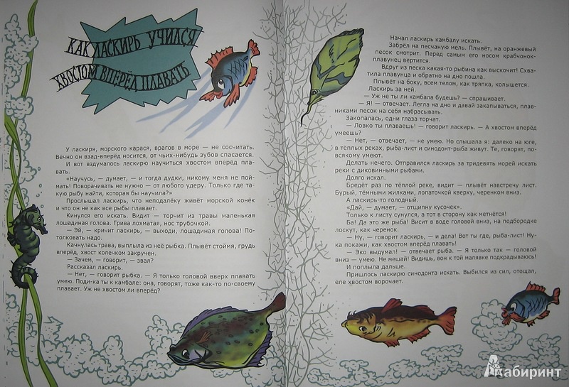 Иллюстрация 9 из 51 для Морские сказки - Святослав Сахарнов | Лабиринт - книги. Источник: Трухина Ирина