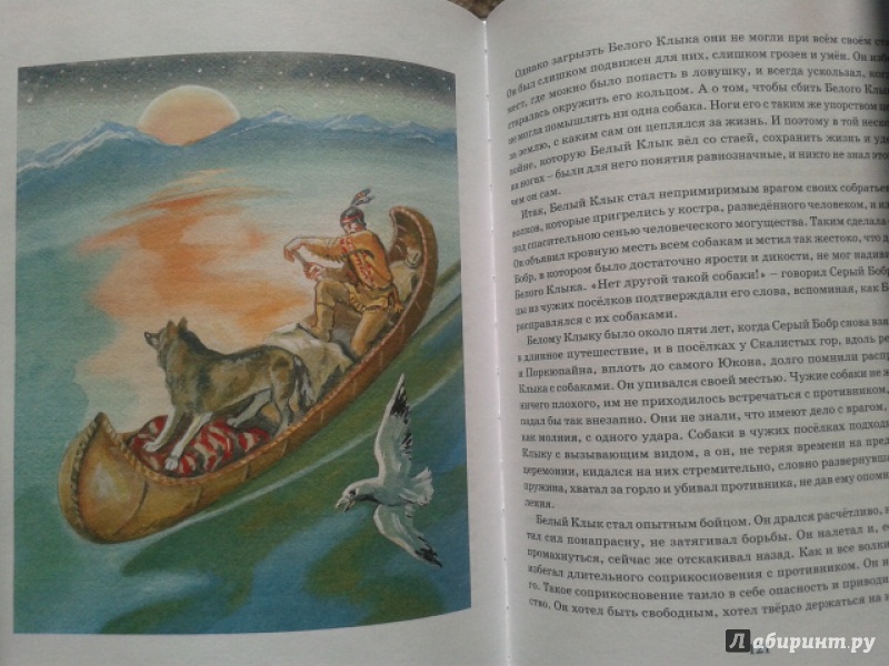 Иллюстрация 34 из 44 для Белый Клык - Джек Лондон | Лабиринт - книги. Источник: Осадчук  Елена