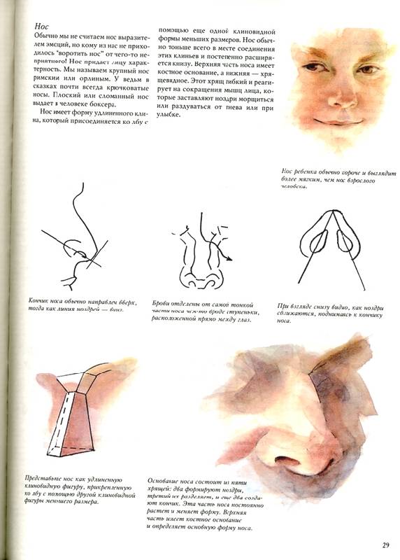 Иллюстрация 20 из 24 для Основы техники создания портрета - Рейчел Вулф | Лабиринт - книги. Источник: * Ольга *
