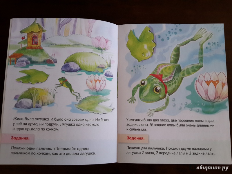 Иллюстрация 14 из 31 для Один, два, много, или Жила-была лягушка - Марина Султанова | Лабиринт - книги. Источник: pluzmary