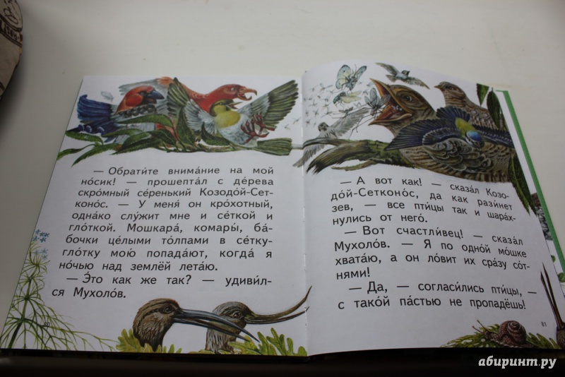 Иллюстрация 21 из 35 для Мастера без топора - Виталий Бианки | Лабиринт - книги. Источник: Татьяна Корочкина (Юсупова)