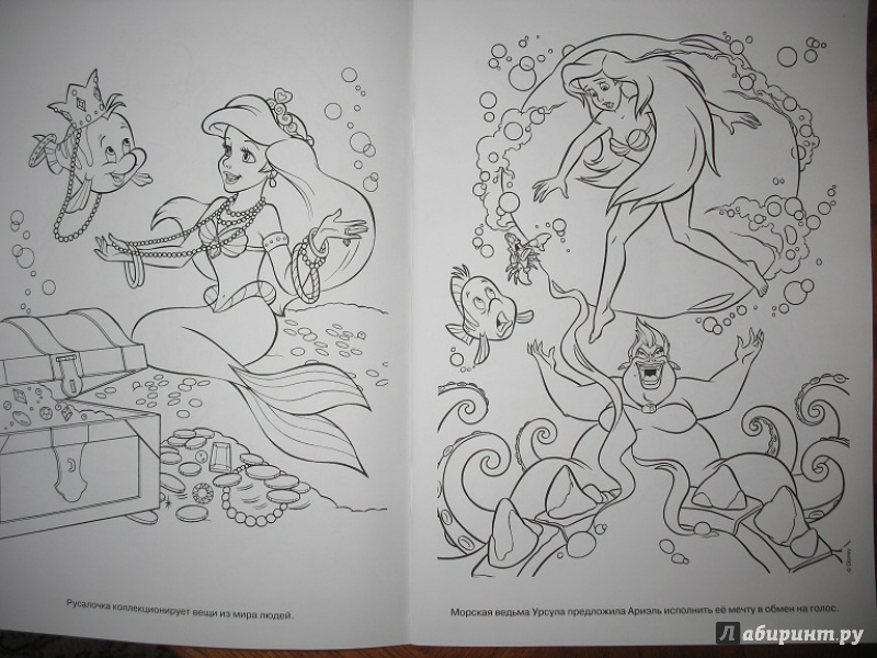 Иллюстрация 2 из 6 для Раскраска-люкс. Принцессы (№1413) | Лабиринт - книги. Источник: ЕленкаС