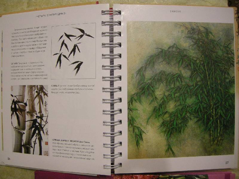 Иллюстрация 49 из 51 для Китайская живопись кистью - Вив Фостер | Лабиринт - книги. Источник: Chedi