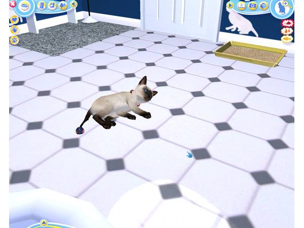 Иллюстрация 22 из 36 для Catz-2 2007 (CDpc) | Лабиринт - . Источник: С  М В