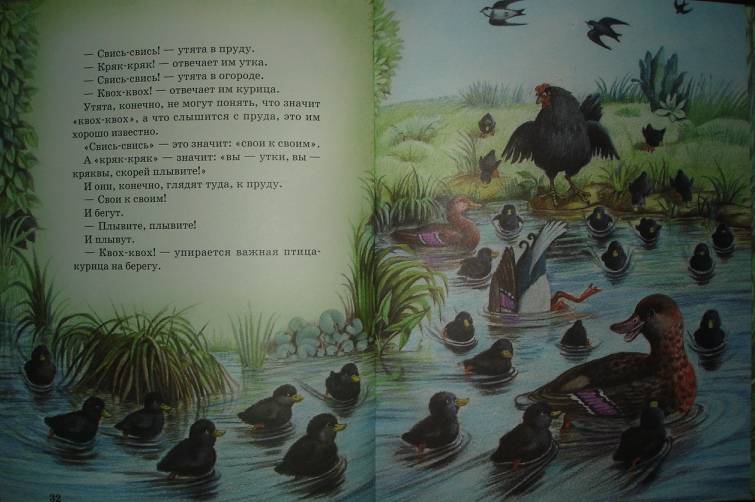 Иллюстрация 17 из 25 для Рассказы о животных - Михаил Пришвин | Лабиринт - книги. Источник: Настёна