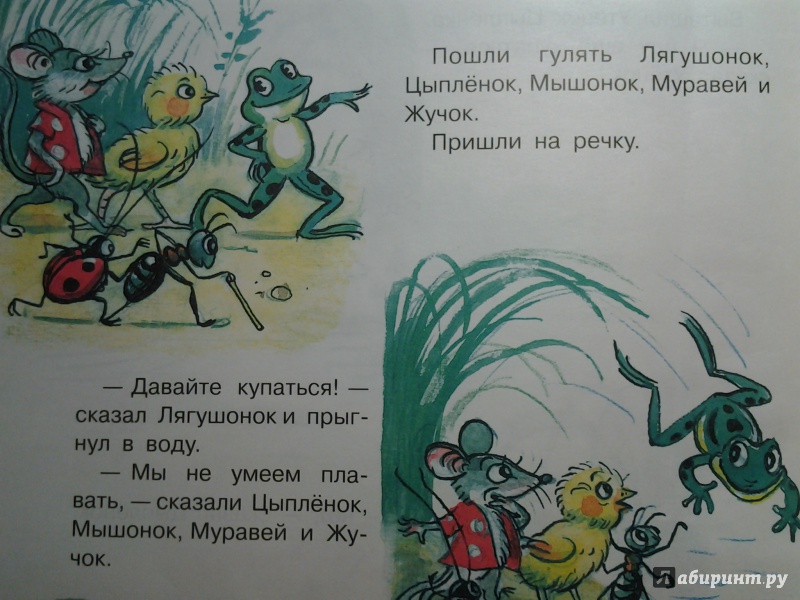 Иллюстрация 10 из 67 для Самые любимые сказки - Владимир Сутеев | Лабиринт - книги. Источник: Olga