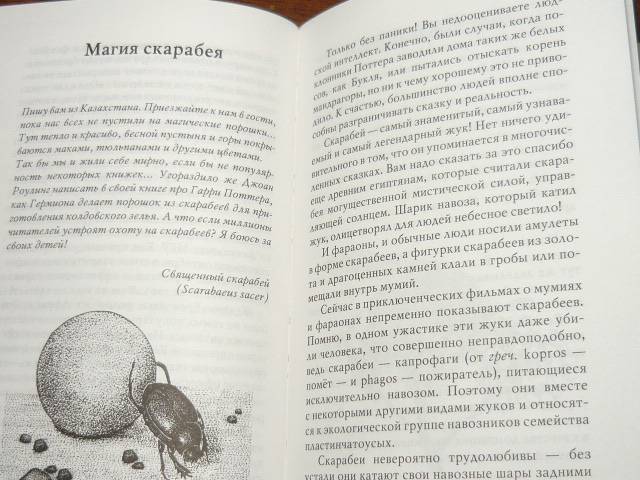Иллюстрация 24 из 32 для Письма насекомых - Ольга Кувыкина | Лабиринт - книги. Источник: Ромашка:-)