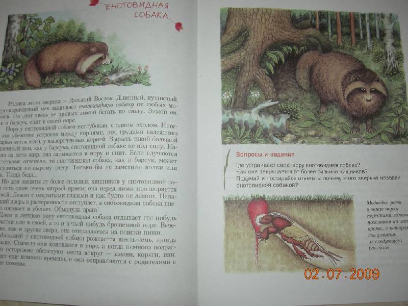 Иллюстрация 6 из 38 для Кто в лесной норе живет?: книга для чтения детям - Александр Тамбиев | Лабиринт - книги. Источник: Соловей
