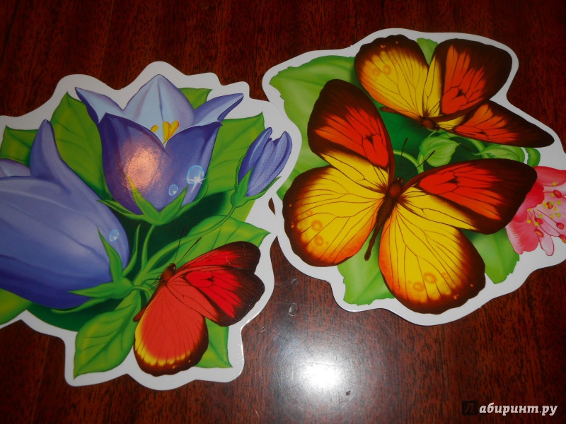 Иллюстрация 5 из 14 для Весенний набор цветов на скотче для украшения стен | Лабиринт - сувениры. Источник: Леан