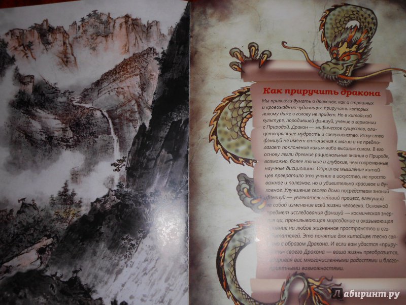 Иллюстрация 6 из 21 для Фэн шуй. Практикум по приручению драконов - Юлия Фомина | Лабиринт - книги. Источник: Леан