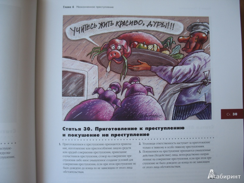 Иллюстрация 20 из 26 для Иллюстрированный Уголовный кодекс РФ | Лабиринт - книги. Источник: AnnaSanna