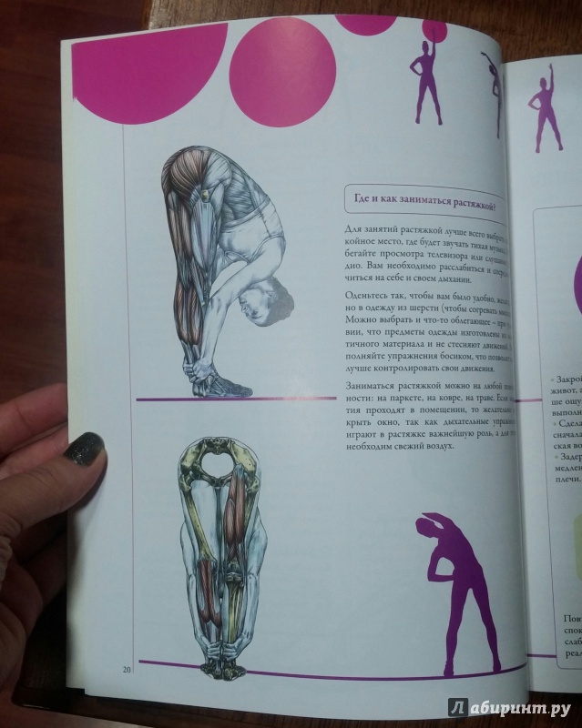 Иллюстрация 23 из 31 для Анатомия фитнеса - Клемансо, Делавье | Лабиринт - книги. Источник: Кошка_Мёбиуса