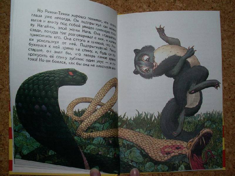 Иллюстрация 6 из 9 для Рикки-Тикки-Тави: Сказки - Редьярд Киплинг | Лабиринт - книги. Источник: ТанЬчик