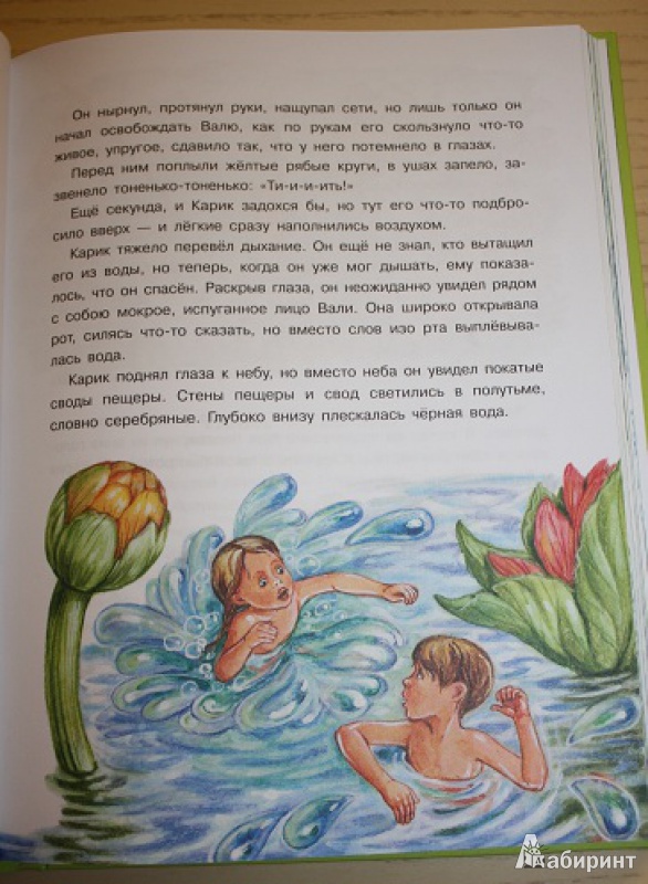 Иллюстрация 8 из 24 для Необыкновенные приключения Карика и Вали - Ян Ларри | Лабиринт - книги. Источник: КНИЖНОЕ ДЕТСТВО