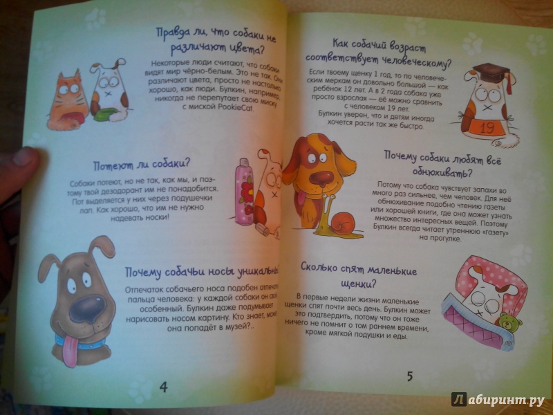 Иллюстрация 9 из 21 для Почему собака лает и еще 100 ответов на детские "почему" про собак - Брюгген Ван | Лабиринт - книги. Источник: Александра Джейлани