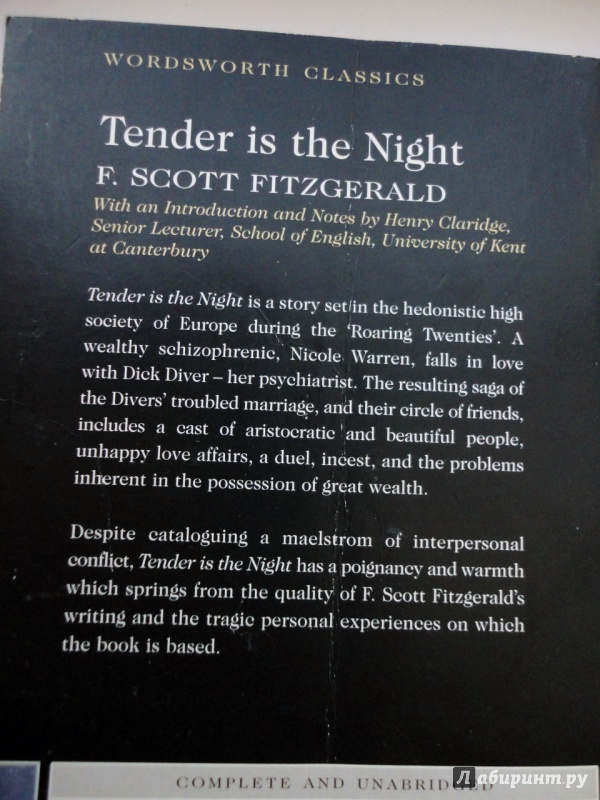 Иллюстрация 5 из 25 для Tender is the Night & The Last Tycoon - Francis Fitzgerald | Лабиринт - книги. Источник: blackbunny33