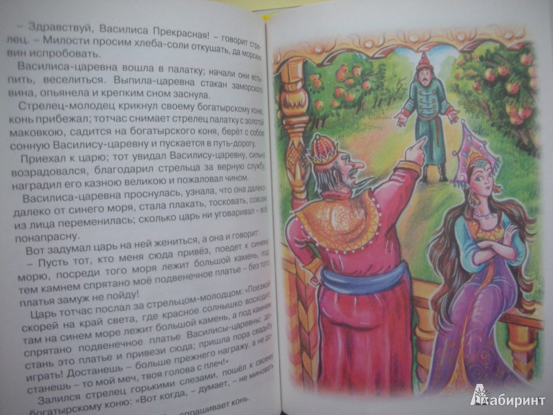 Иллюстрация 11 из 45 для Царевна-лягушка | Лабиринт - книги. Источник: Екатерина123