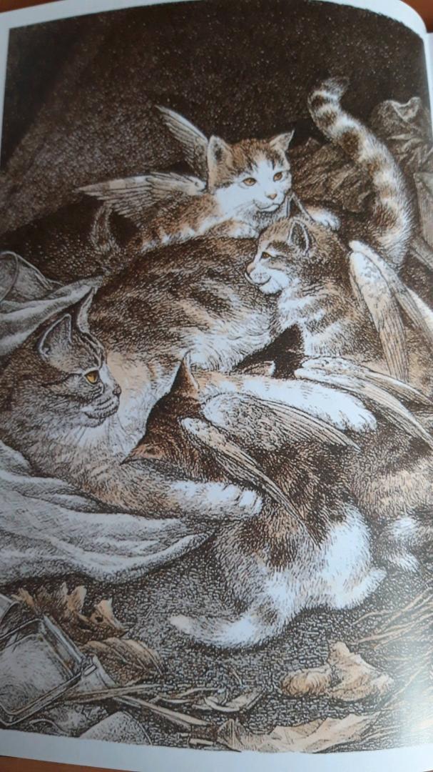 Иллюстрация 47 из 59 для Крылатые кошки - Гуин Ле | Лабиринт - книги. Источник: Лабиринт