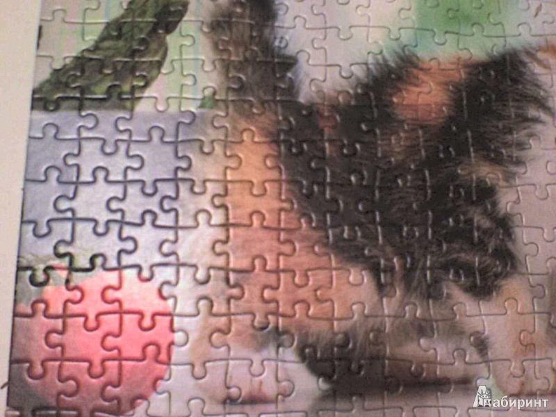 Иллюстрация 6 из 6 для Puzzle, 500 элементов, "Щенок и котенок" (B-51687) | Лабиринт - игрушки. Источник: Роза с шипами