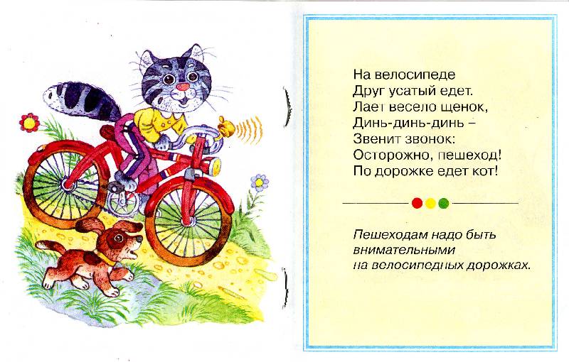 Иллюстрация 1 из 2 для Правила езды на велосипеде - Марина Дружинина | Лабиринт - книги. Источник: РИВА
