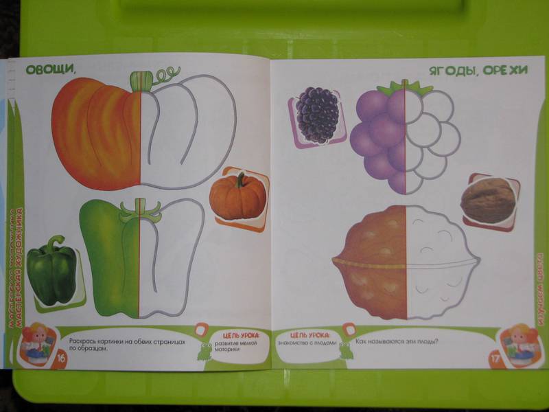 Иллюстрация 13 из 14 для Школа малышей с 4 лет - Кремона, Джиордани | Лабиринт - книги. Источник: sailence
