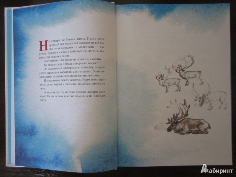 Иллюстрация 35 из 58 для Зимняя сказка - Сакариас Топелиус | Лабиринт - книги. Источник: ЮлияО