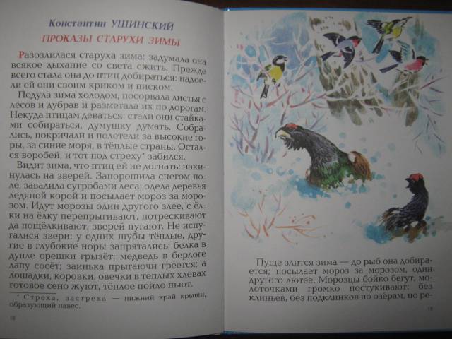 Иллюстрация 17 из 23 для Зимние сказки | Лабиринт - книги. Источник: Спанч Боб