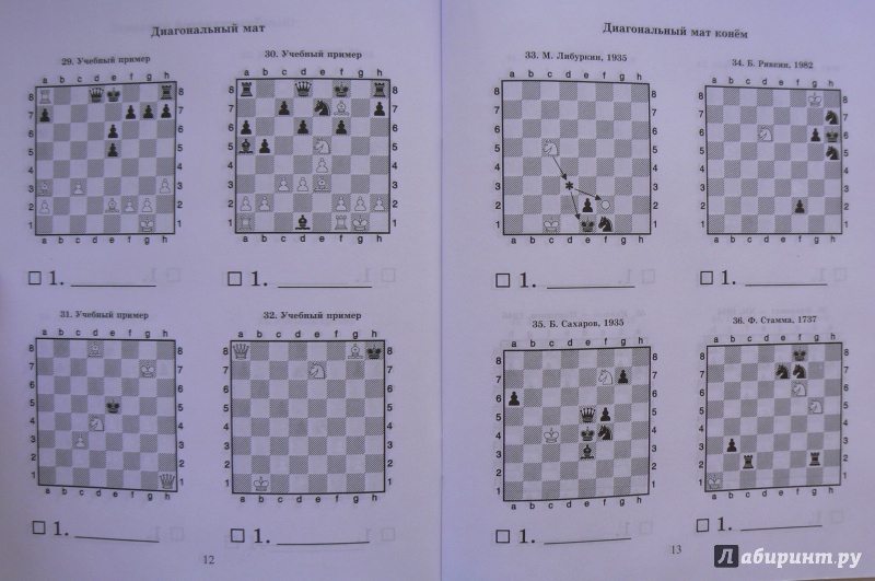Иллюстрация 3 из 11 для Шахматный решебник. Мат королю - Всеволод Костров | Лабиринт - книги. Источник: Марина
