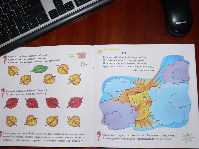 Иллюстрация 14 из 22 для Погода и времена года: Развивающая тетрадь для занятий с ребенком от 2 лет - Елена Дорохова | Лабиринт - книги. Источник: Irbis