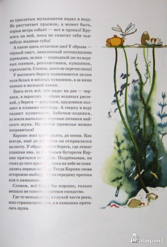 Иллюстрация 65 из 65 для Приключения Карпика - Андрей Клыков | Лабиринт - книги. Источник: СветланаС