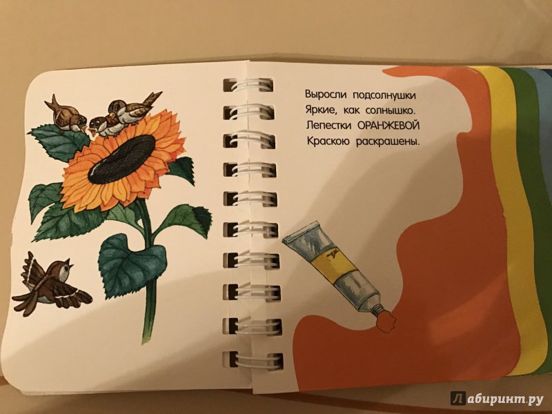 Иллюстрация 22 из 23 для Цвета - Ю. Каспарова | Лабиринт - книги. Источник: Лабиринт