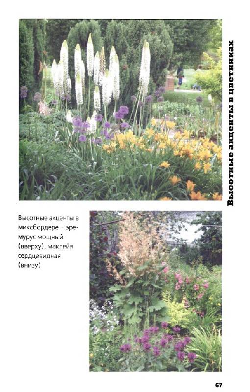 Иллюстрация 13 из 33 для Многолетние цветы в дизайне сада: Эффектные гиганты - Светлана Воронина | Лабиринт - книги. Источник: Юта
