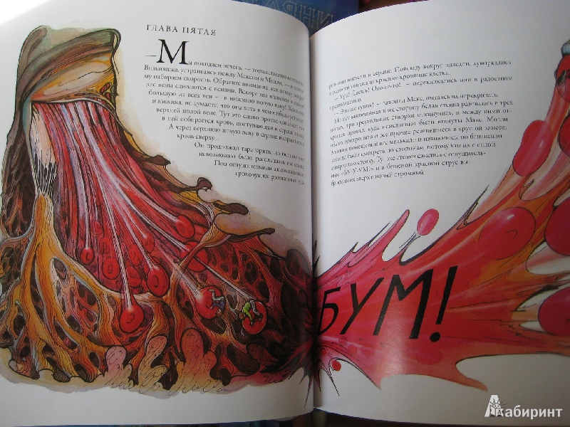 Иллюстрация 59 из 60 для Тайны анатомии - Кэрол Доннер | Лабиринт - книги. Источник: Макарова  Елена