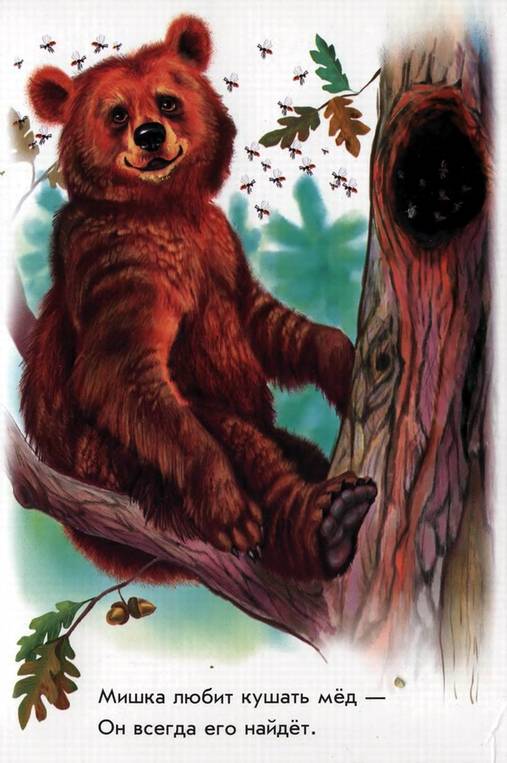 Иллюстрация 13 из 21 для В лесу - Олеся Квитка | Лабиринт - книги. Источник: Panterra