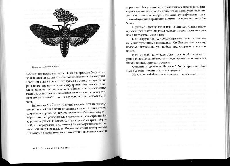Иллюстрация 4 из 15 для Роман с бабочками. Как человек влюбился в насекомое - Шарман Рассел | Лабиринт - книги. Источник: Иванна