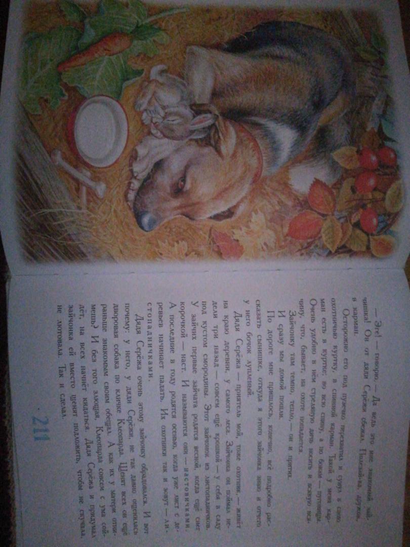 Иллюстрация 34 из 36 для Сказки для детей - Виталий Бианки | Лабиринт - книги. Источник: Голубова  Ирина