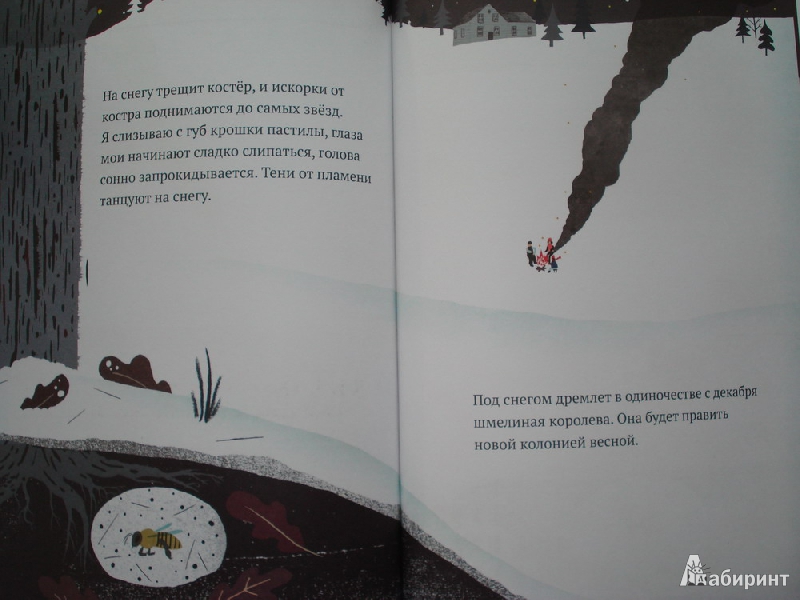 Иллюстрация 42 из 45 для На снегу и под снегом - Кейт Месснер | Лабиринт - книги. Источник: Алиса