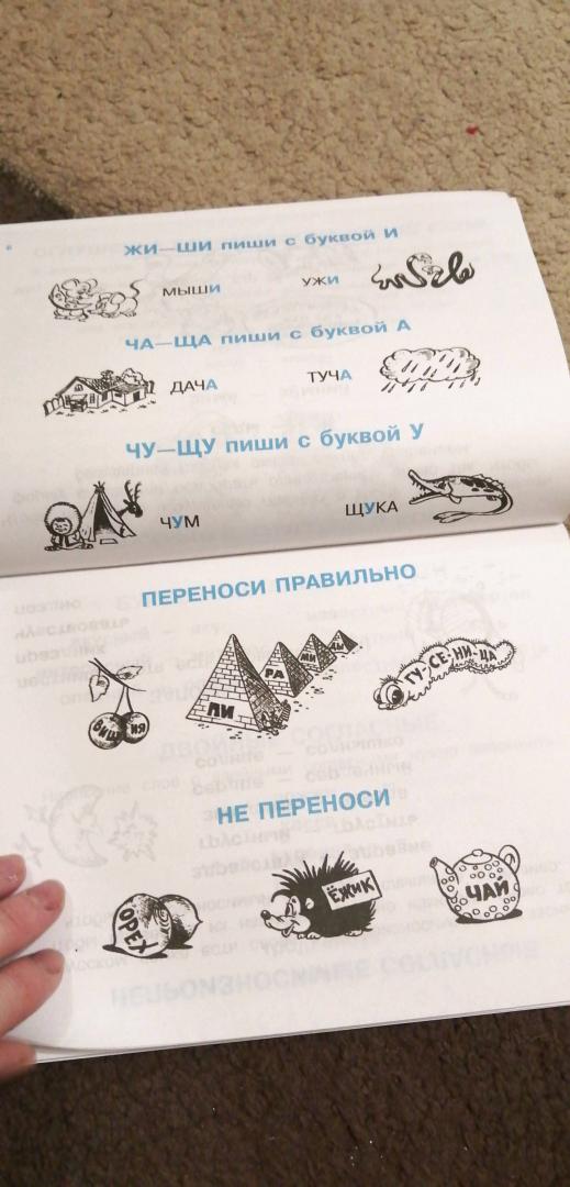 Иллюстрация 28 из 36 для Правила по русскому языку для начальных классов | Лабиринт - книги. Источник: Ашихман Екатерина