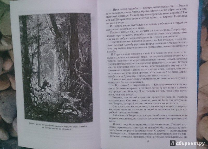 Иллюстрация 51 из 60 для Жангада. Михаил Строгов - Жюль Верн | Лабиринт - книги. Источник: Спирина  Elena